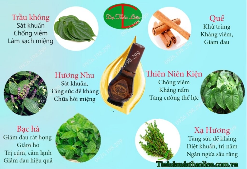 Tinh dầu răng miệng Dạ Thảo Liên
