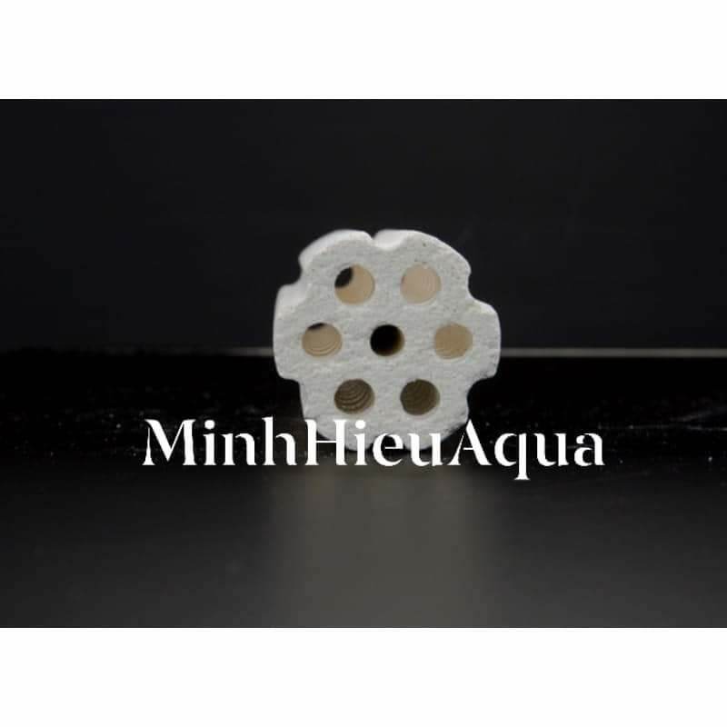 [HCM]Sứ củ sen Mountain Tree Root 3 16x4cm dành cho cá biển
