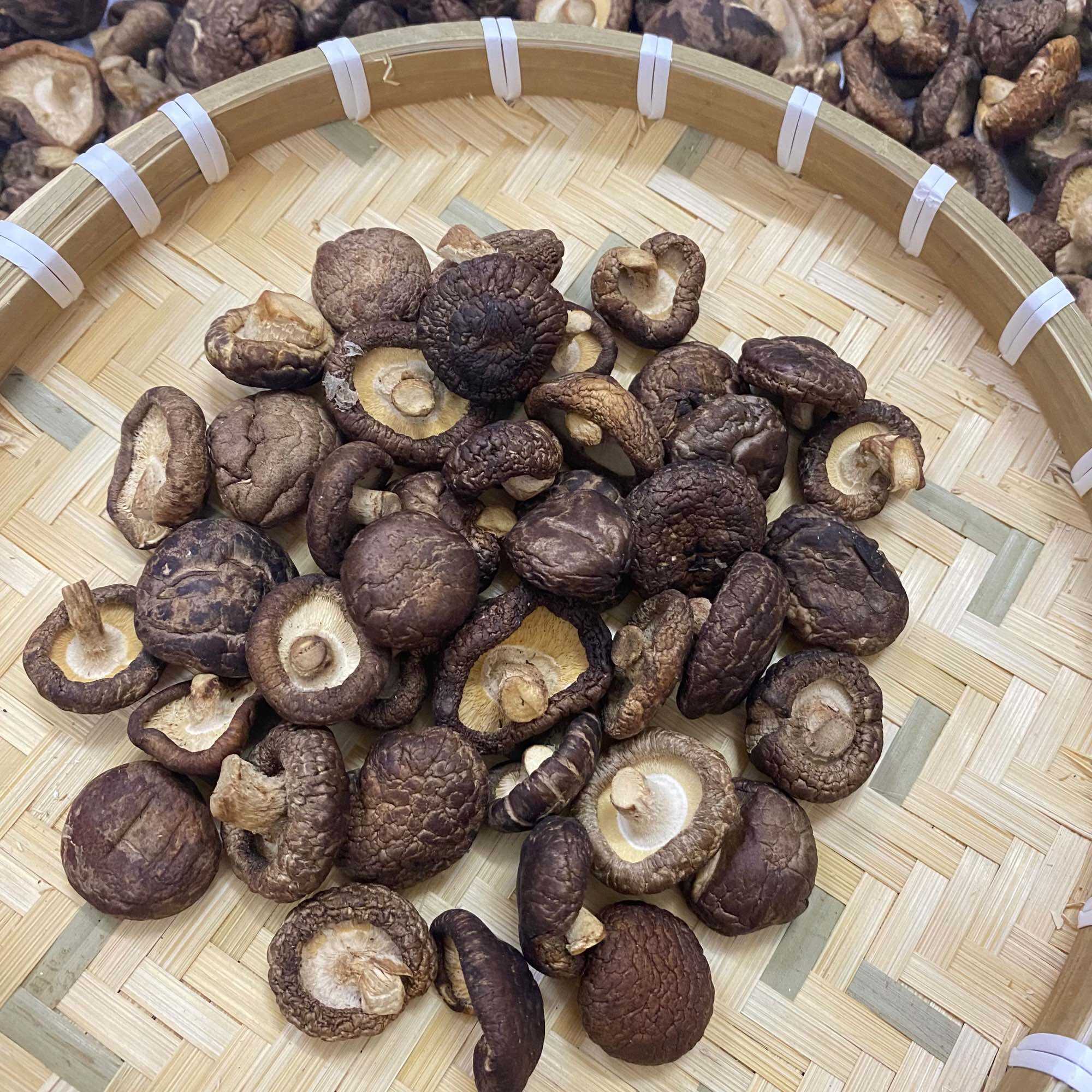 1KG NẤM HƯƠNG KHÔ LOẠI 1 (Khô ráo, đều tai, thơm)