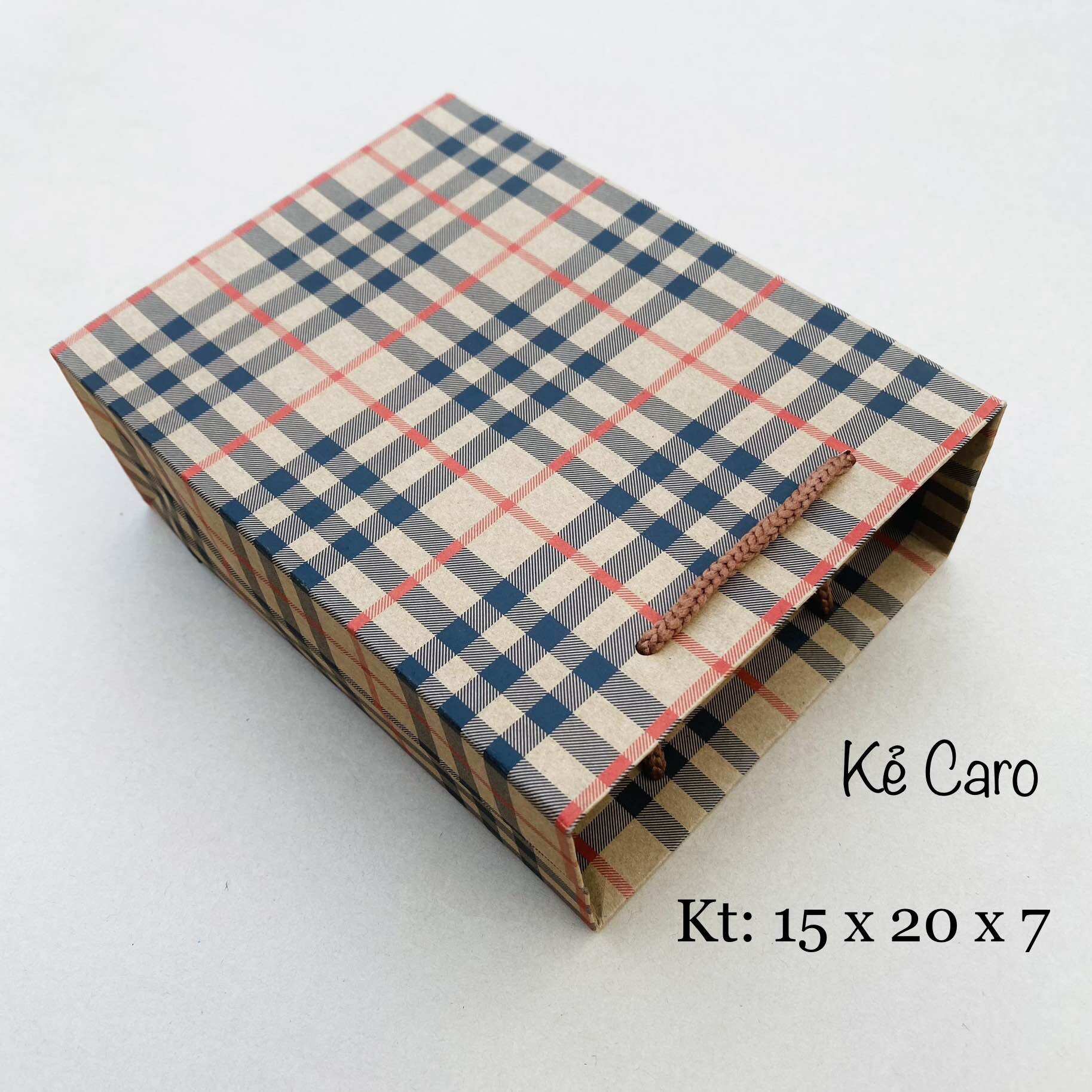 Combo 100c túi quà tặng số 6 túi giấy đựng quà [ Freeship ]