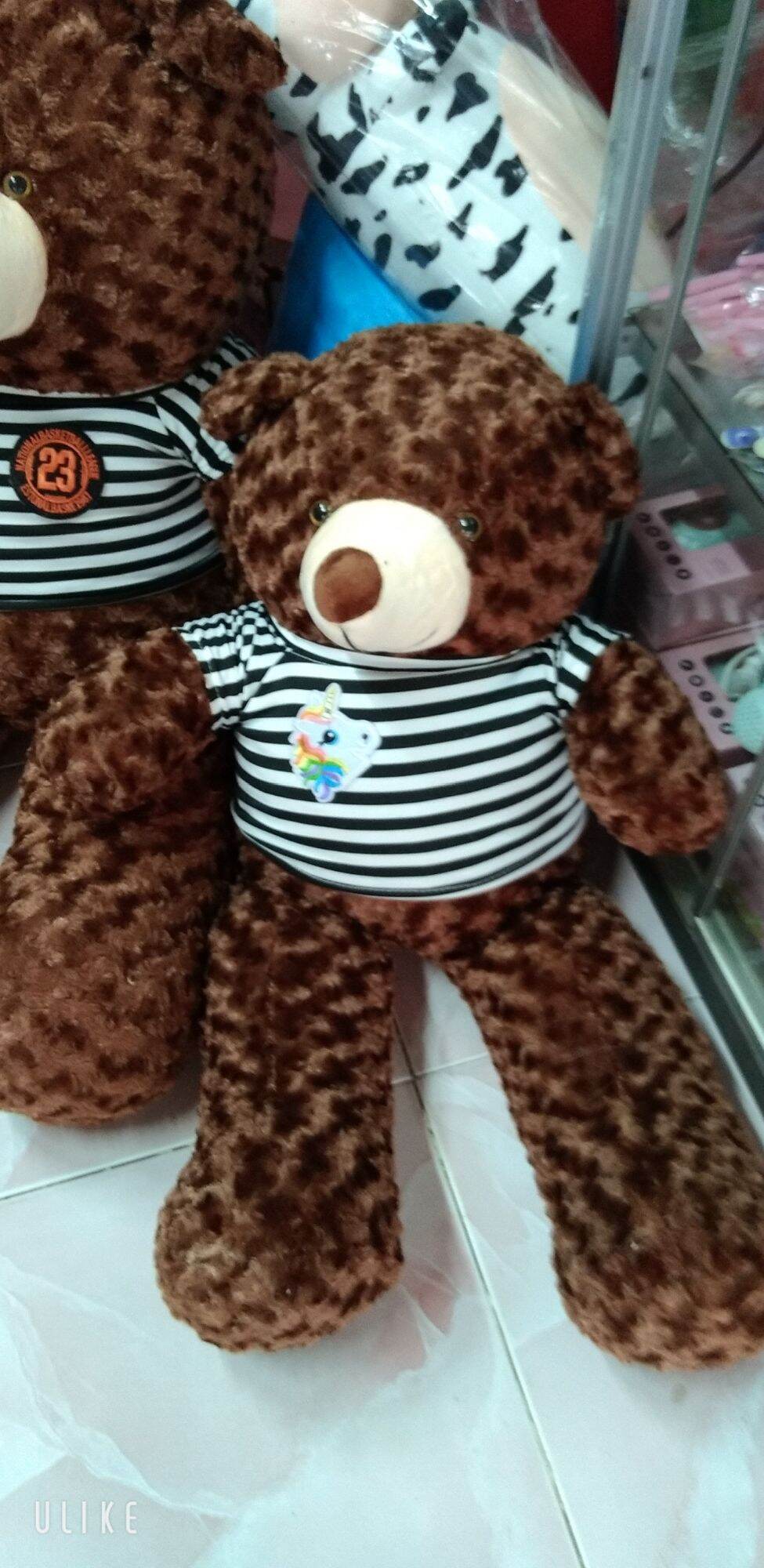 Gấu teddy 60 cm, 70 cm, 80cm, 1m