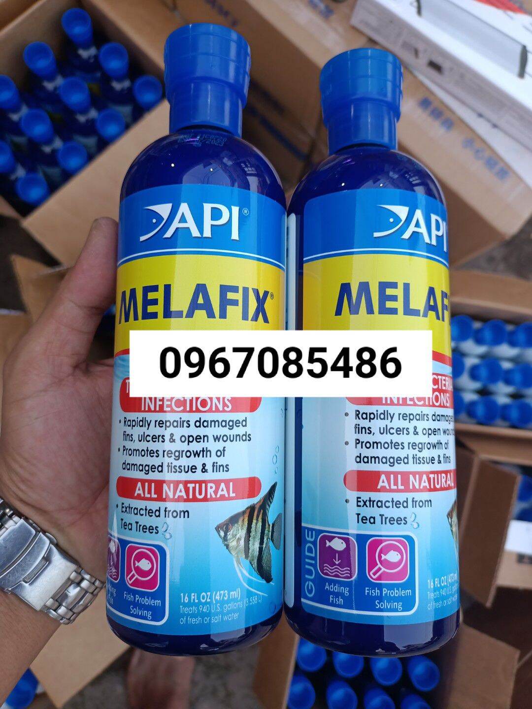 Melafix Dung Dịch Kháng Khuẩn Cao Cấp Của MỸ Chai 473ml , NGĂN NẤM , NGỪA BỆNH CHO CÁ