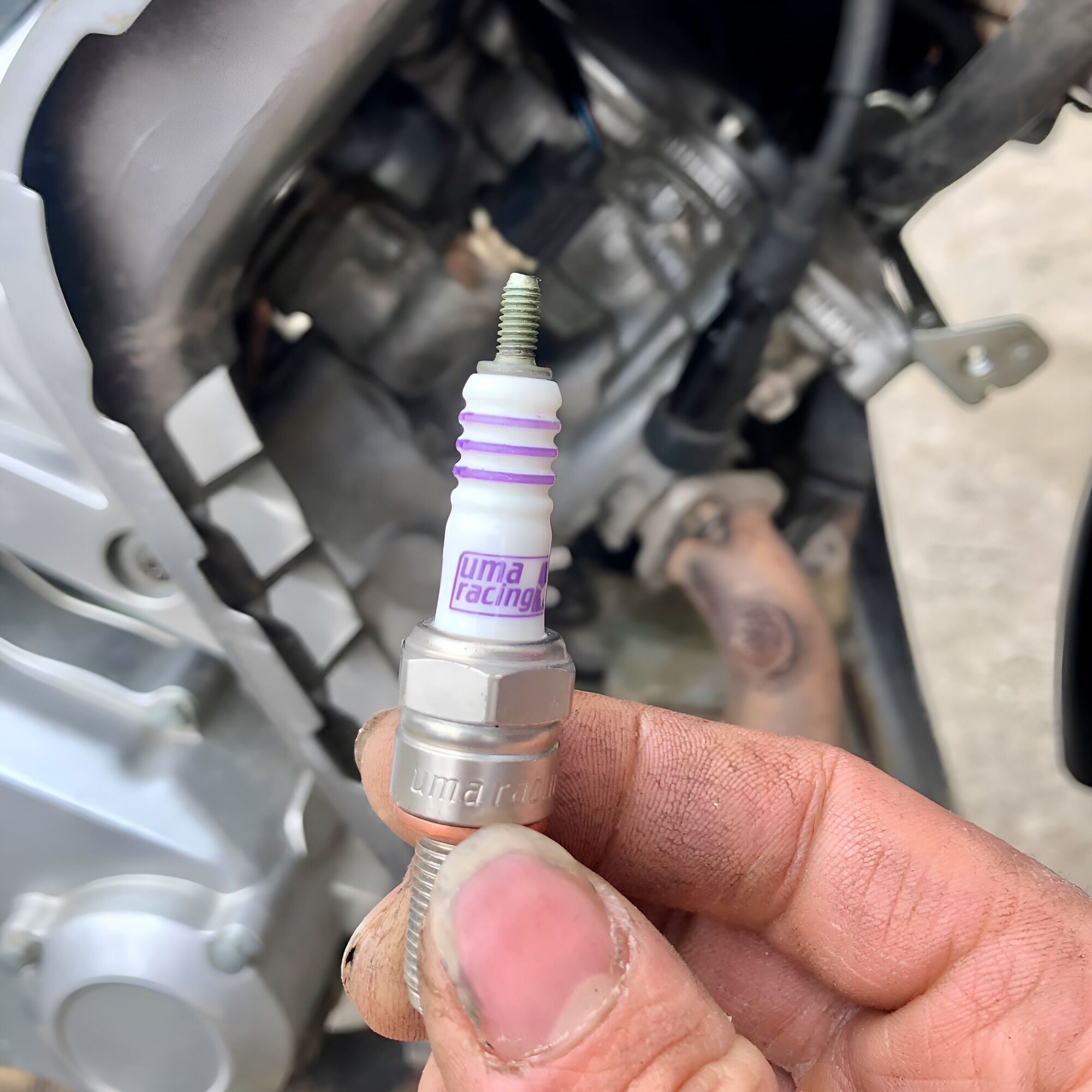 Bugi Uma bạch kim 3 chấu cho ex150/ex135