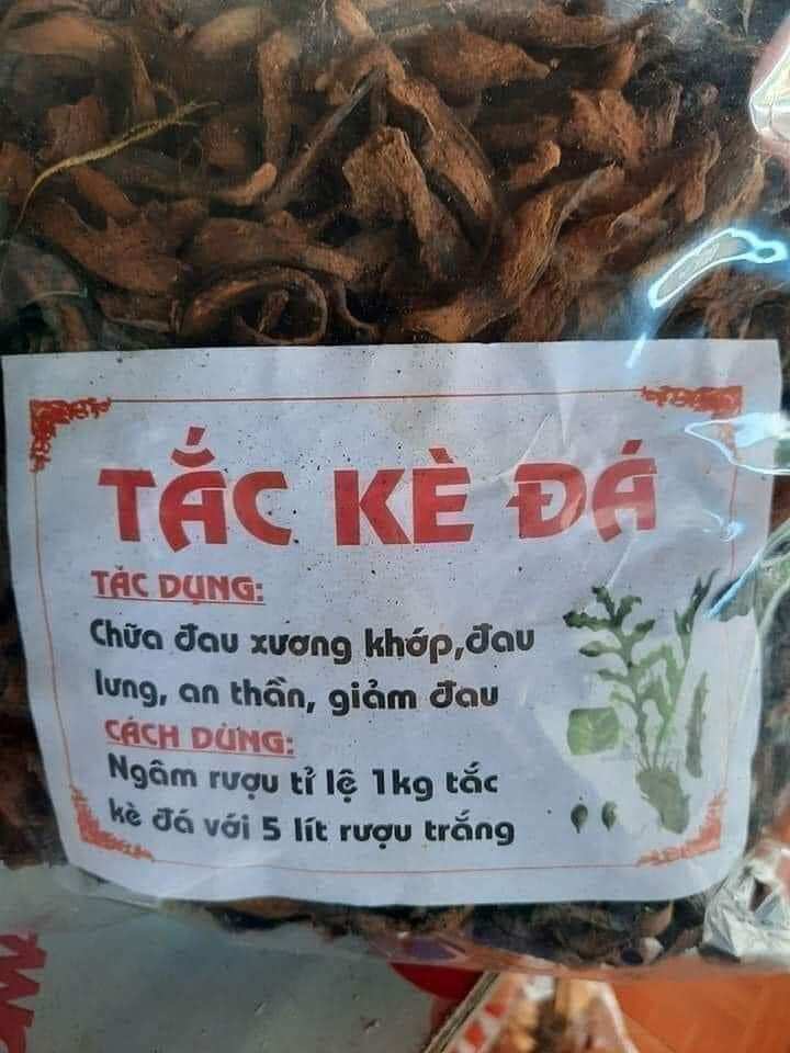 Tắc kè đá an thần. đau xương khớp