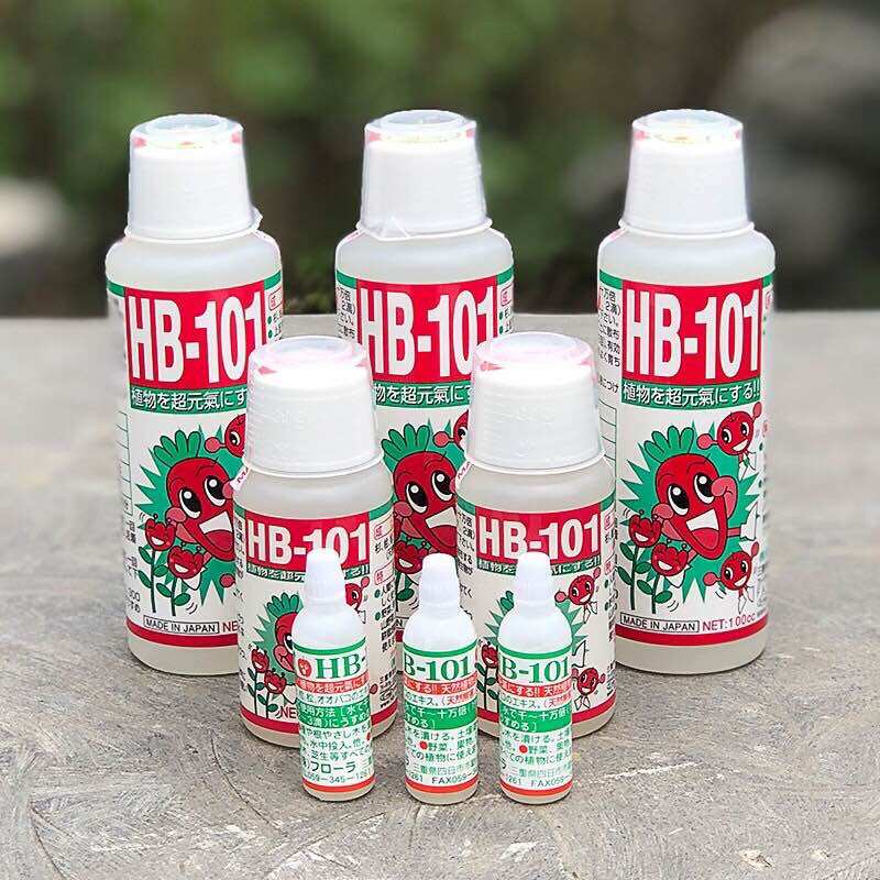 Hb101 nhật kích rễ cứu cây suy phục hồi cây yếu