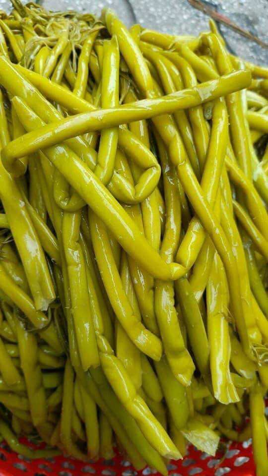 Rau móp làm chua túi 2kg