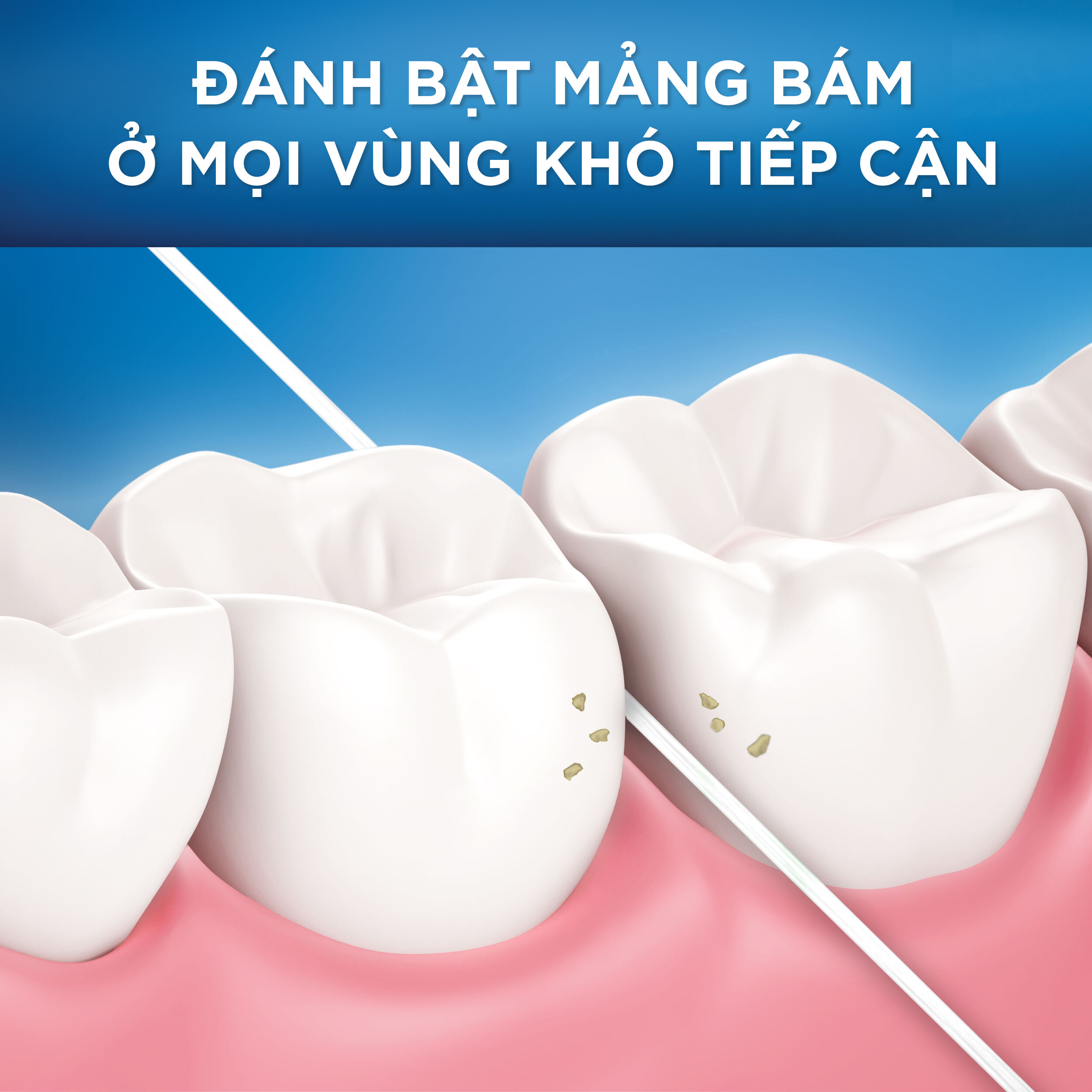 Combo 2 Chỉ Nha Khoa ORAL-B Essential Floss Bạc Hà Hộp 50M