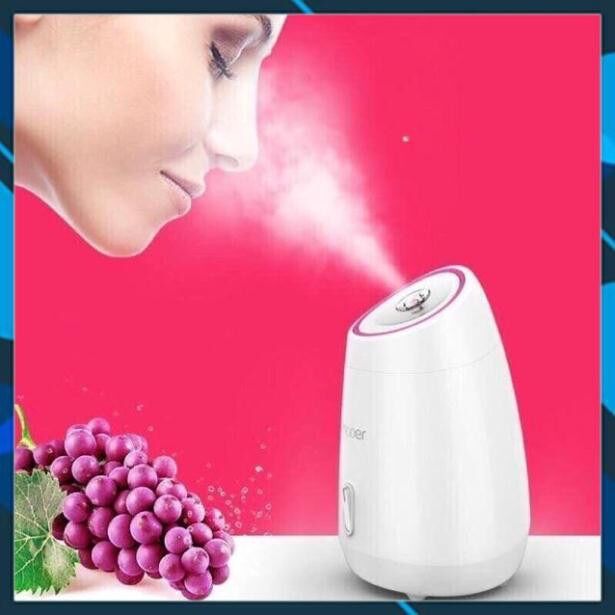 Máy xông mặt bằng hơi nước xông hoa quả tươi - Hàng nhập khẩu