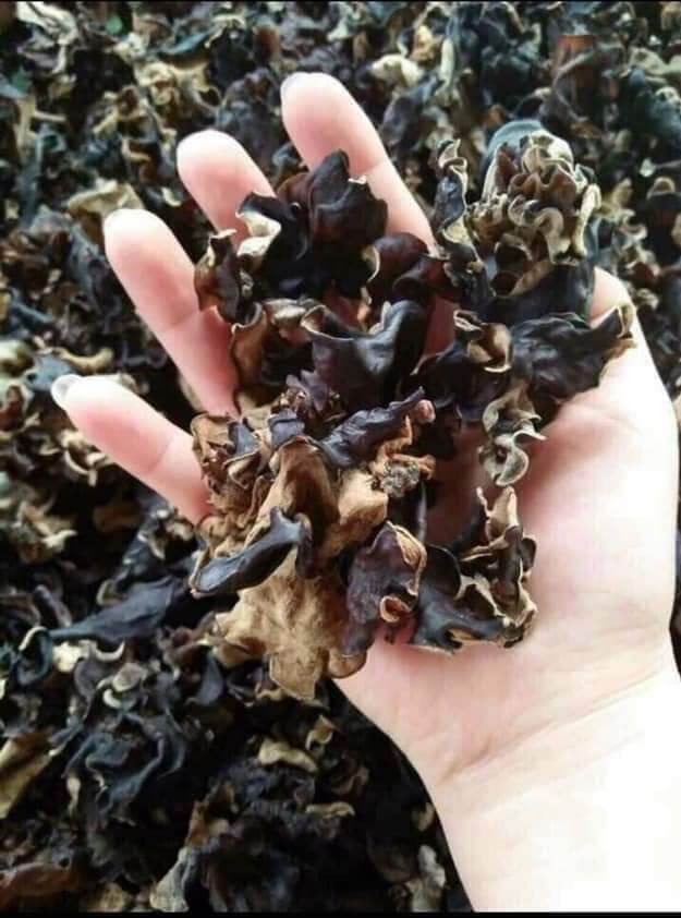 mộc nhĩ đen 500gr ( đặc sản tây bắc)