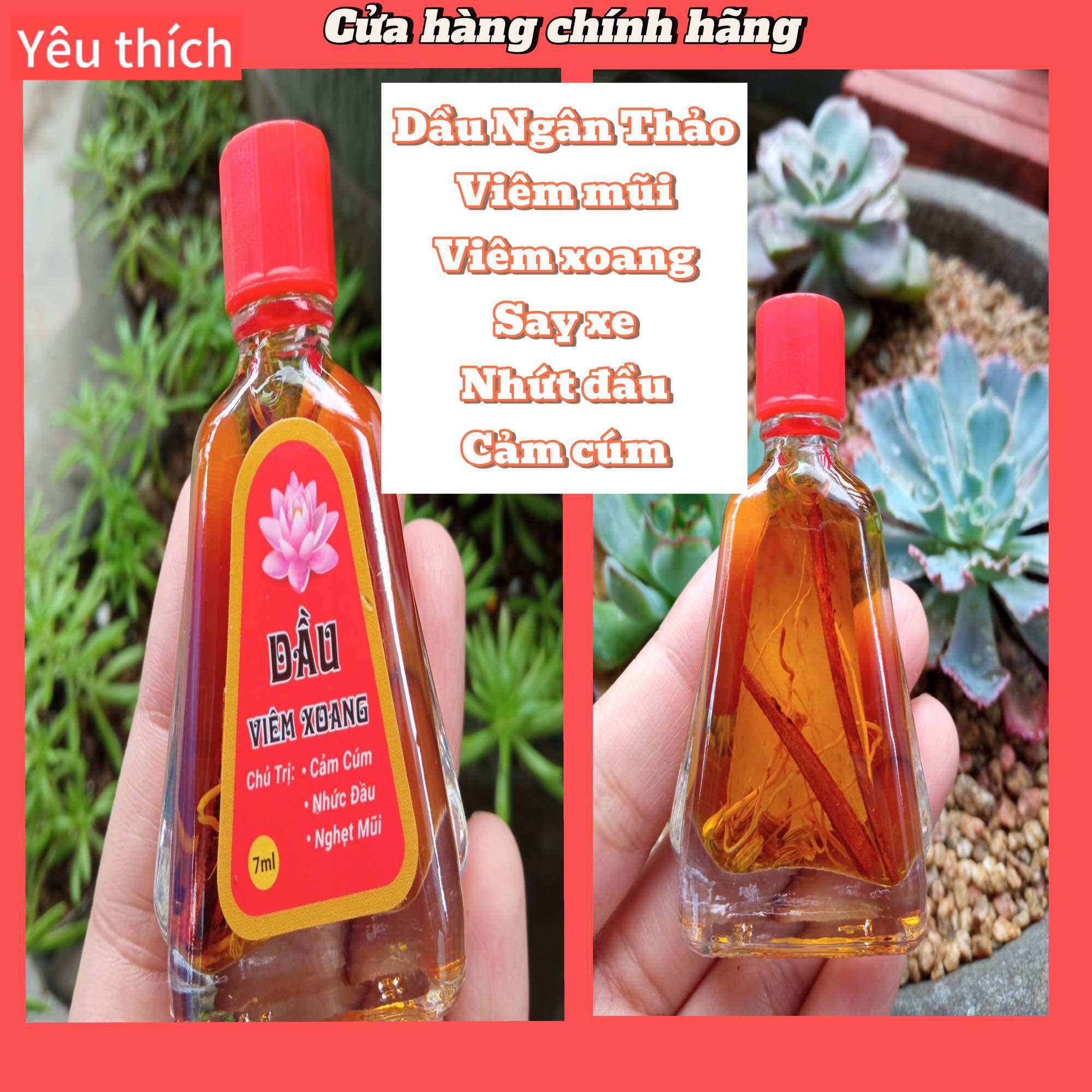 Dầu ngân thảo chùa châu đốc an giang