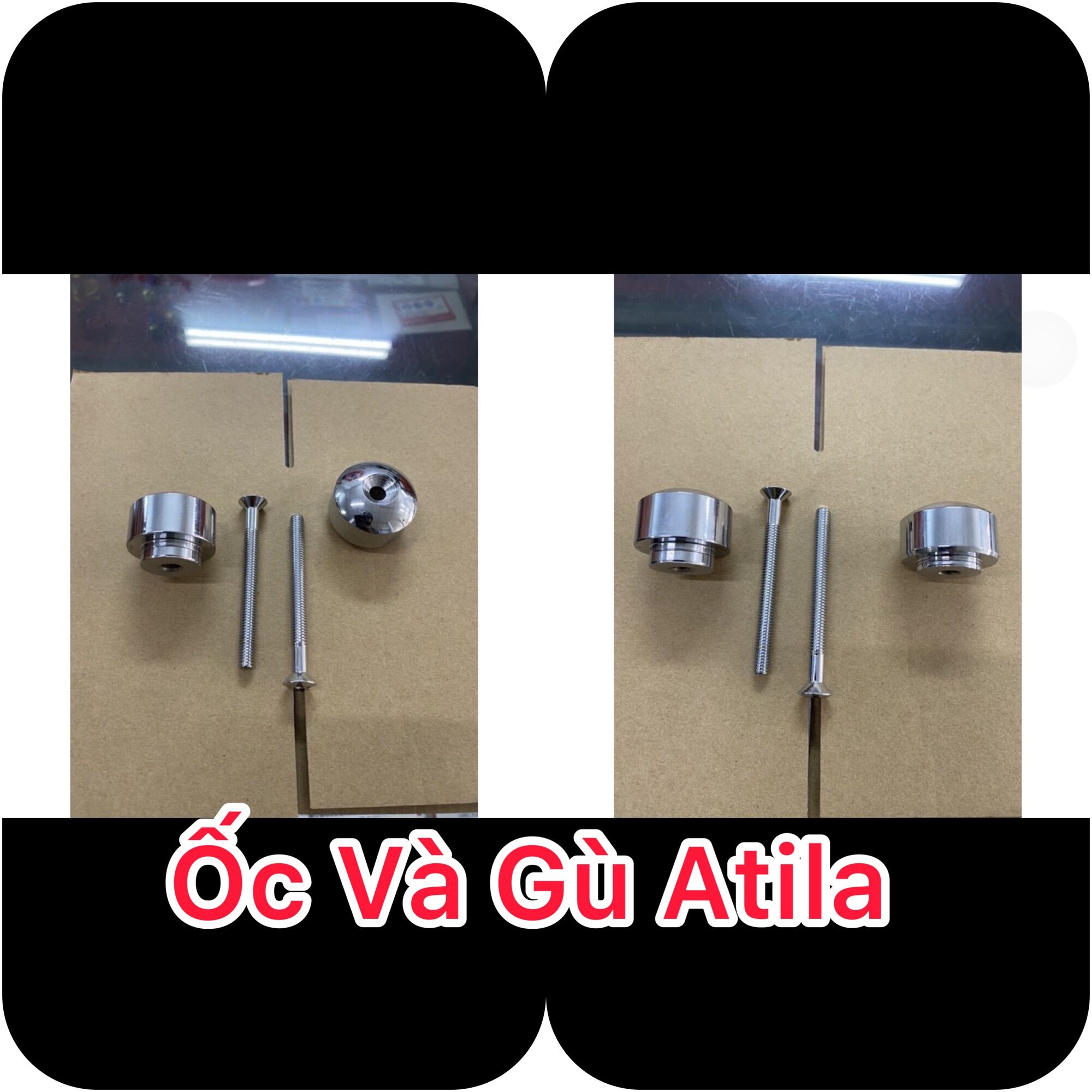 Ốc và gù atila