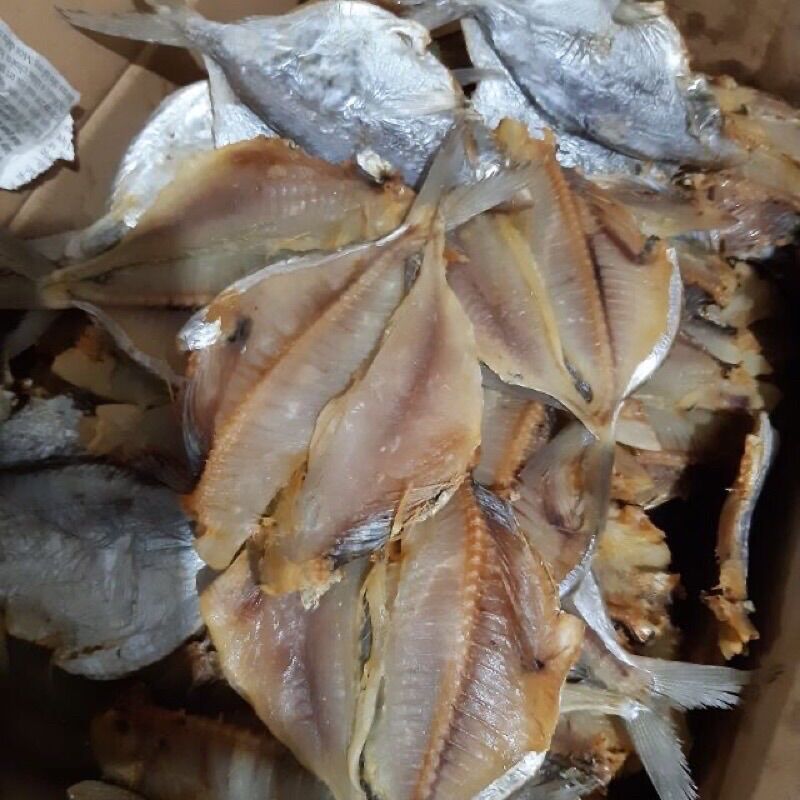 1kg cá sứa đặc biệt ngon, thịt chắc