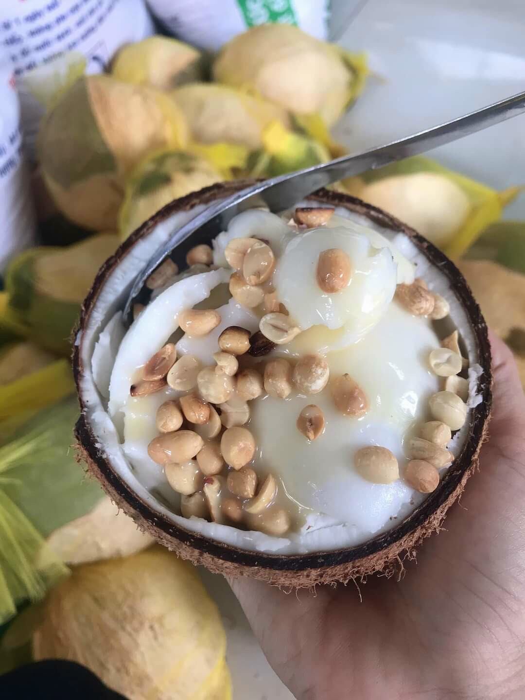 Dừa sáp dạng lỏng , cơm dẻo 1 trái hơn 1kg
