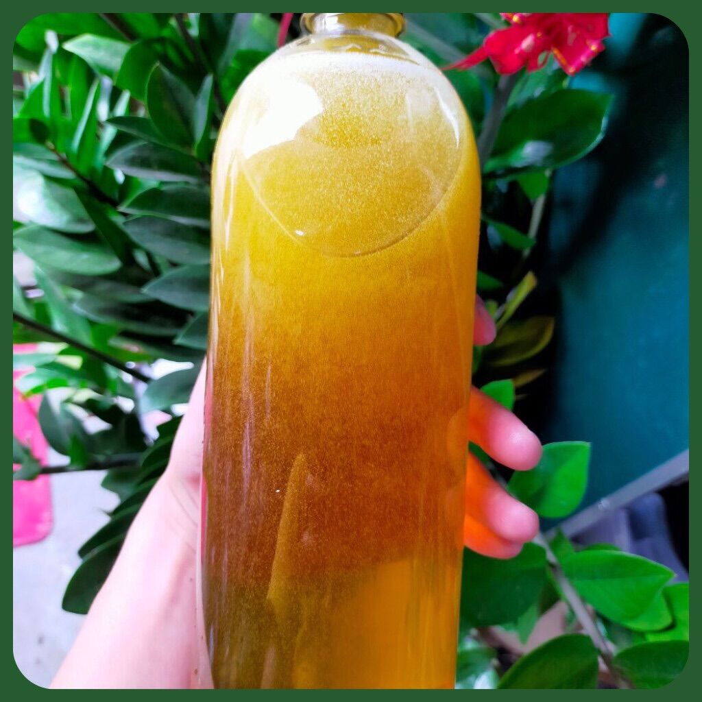1L MẬT ONG HOA BẠC HÀ NGUYÊN CHÂT