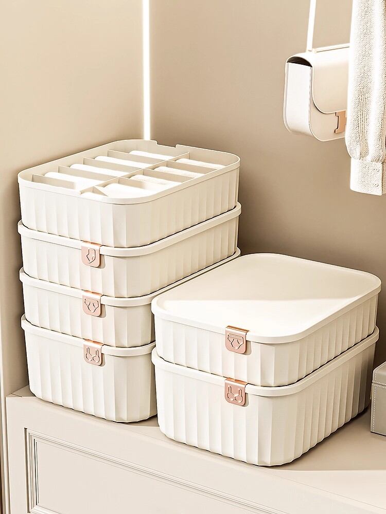 JILI | Tổ chức Lưu trữ Quần lót 3-trong-1 có ngăn