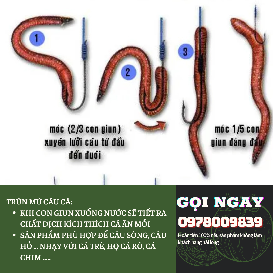 TRÙN MỦ, GIUN MỦ CÂU CÁ.