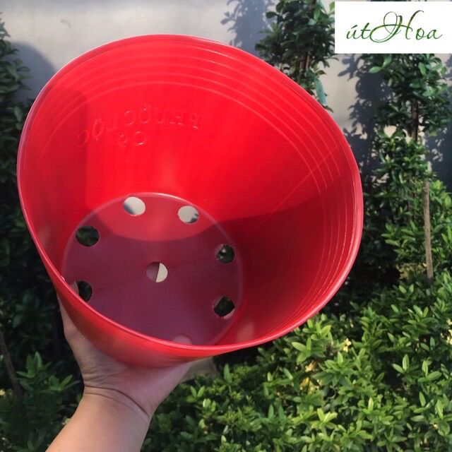 Chậu Nhựa Đỏ C9 trồng hoa tết