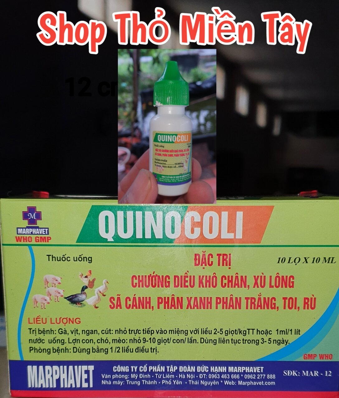 Compo Ecoli + Cầu Trùng cho Thỏ lọ 10ml