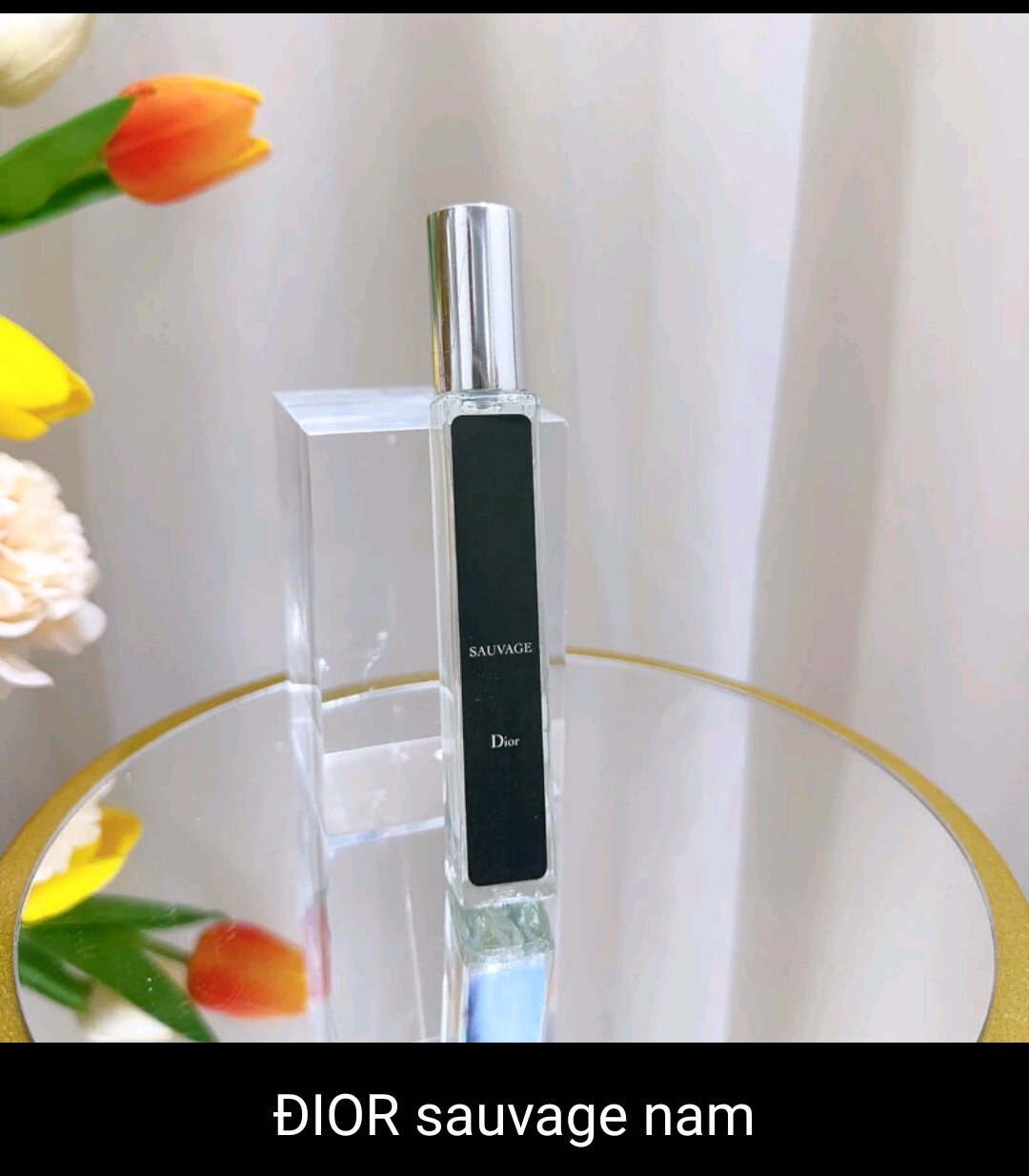 nước hoa chiếc d i o r  nam 10ml
