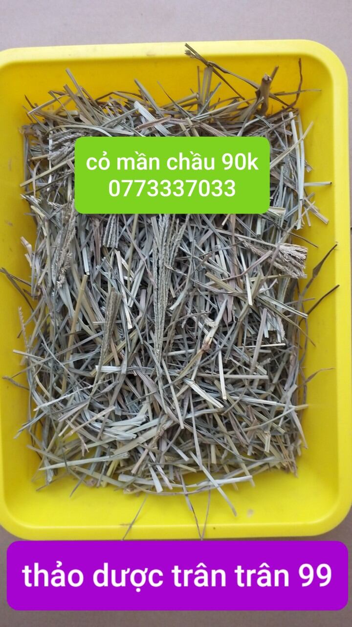 Cỏ mần chầu phơi khô 1kg