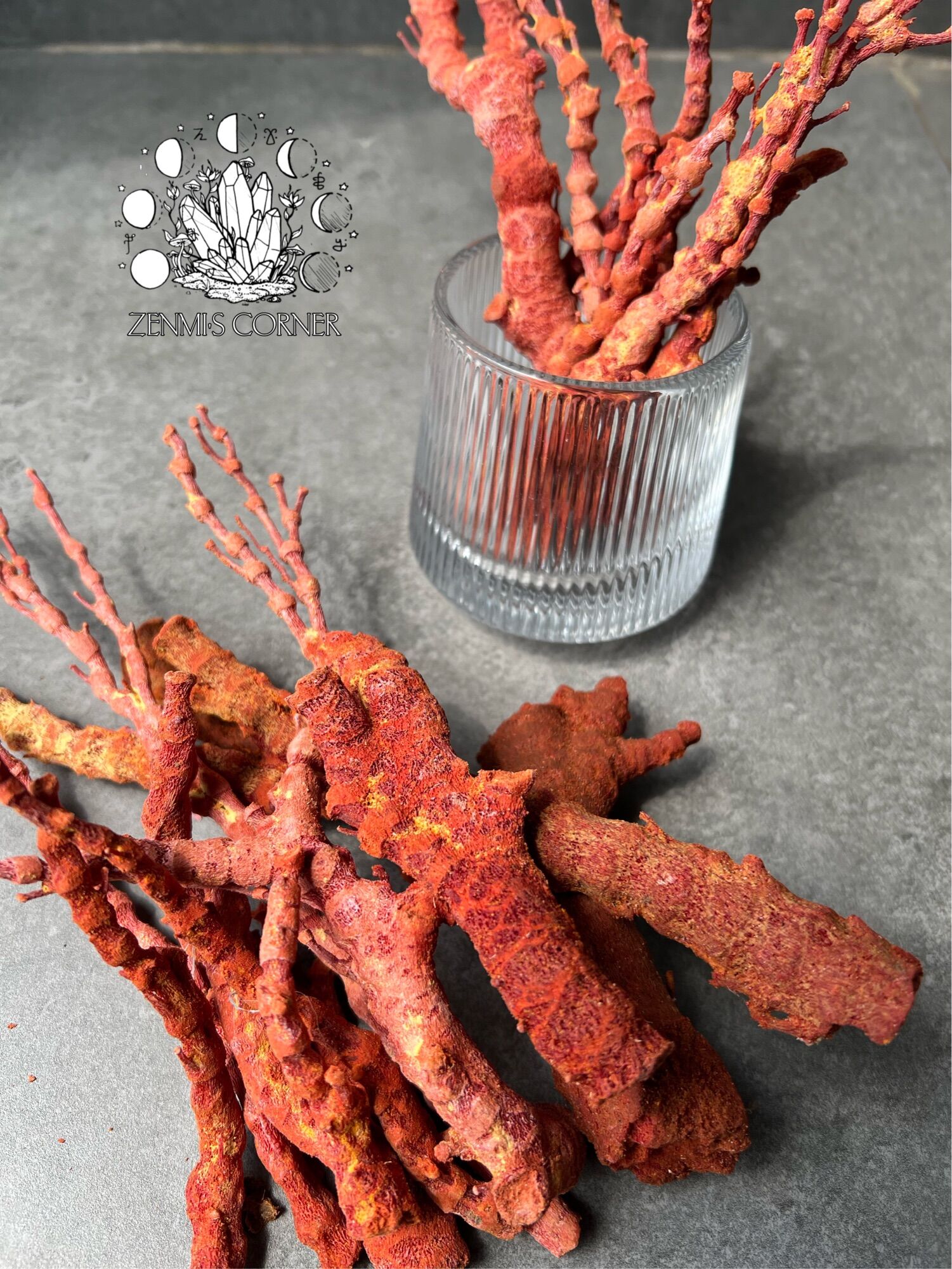 RED CORAL - 100g San Hô Đỏ Tự Nhiên