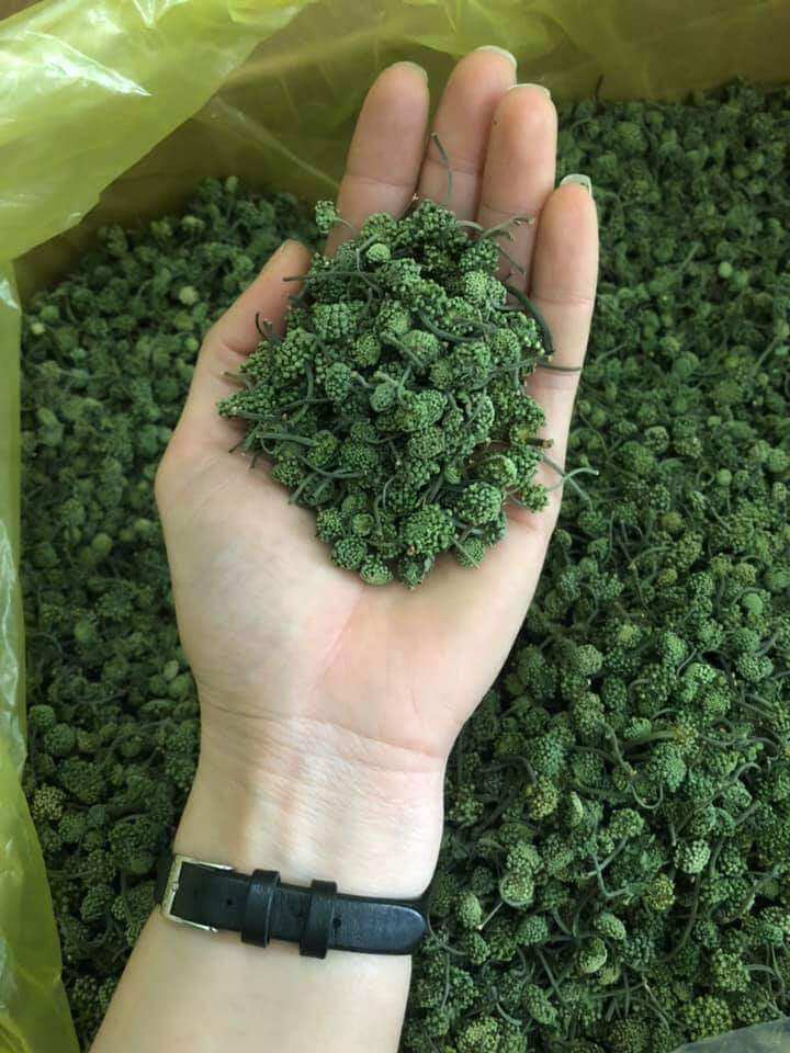 nụ hoa tam thất 500g