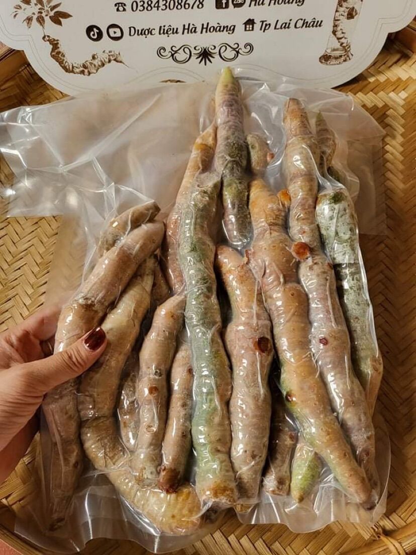 1kg rễ Tứn Khửn tươi (Lai Châu)