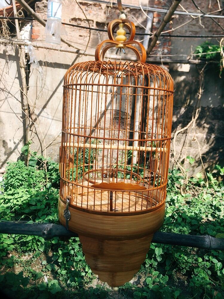LỒNG KHUYÊN CHÂN CAO NAN KHÍT