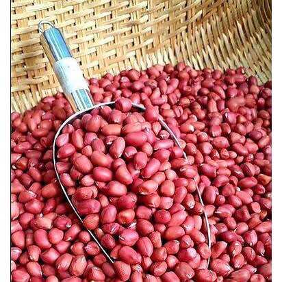 1kg lạc đỏ - nhân lạc đỏ thơm ngon