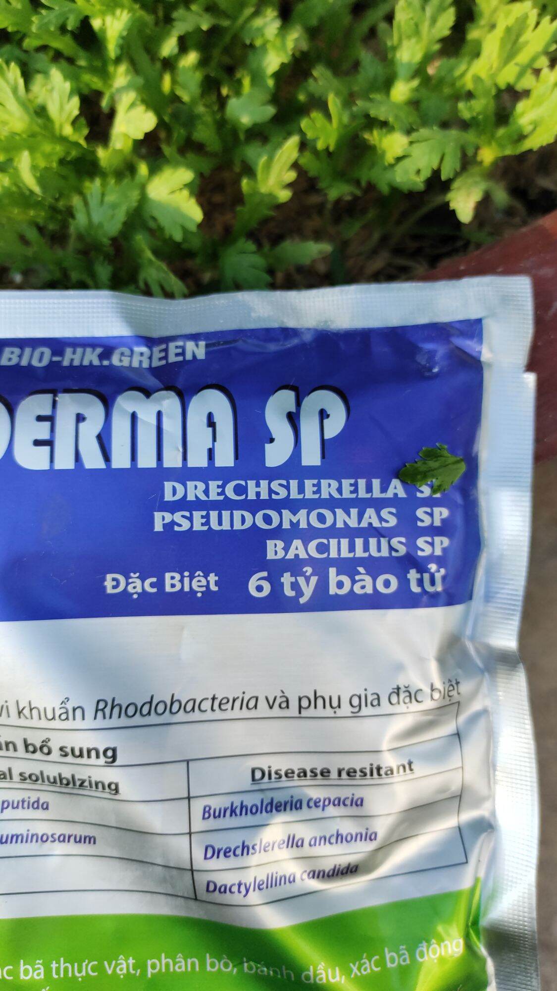 Gói 1kg Nấm Đối Kháng TRICHODERMA SP  (6 tỉ bào tử)