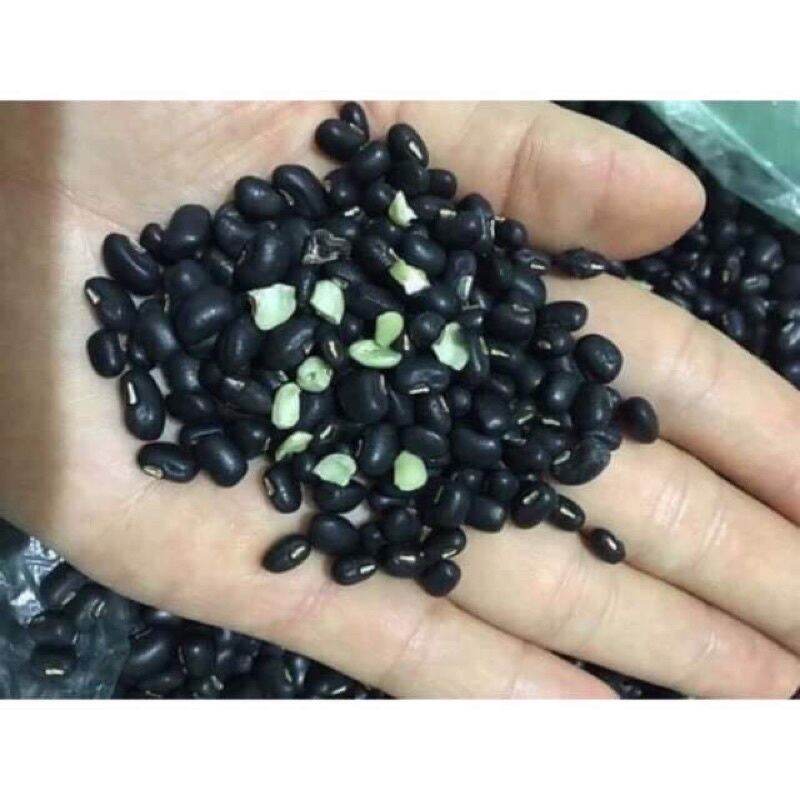 500gr đậu đen xanh lòng thuần chủng đắc lắc