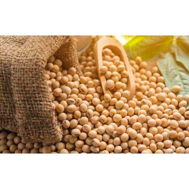 1kg Đậu nành - Đậu Tương