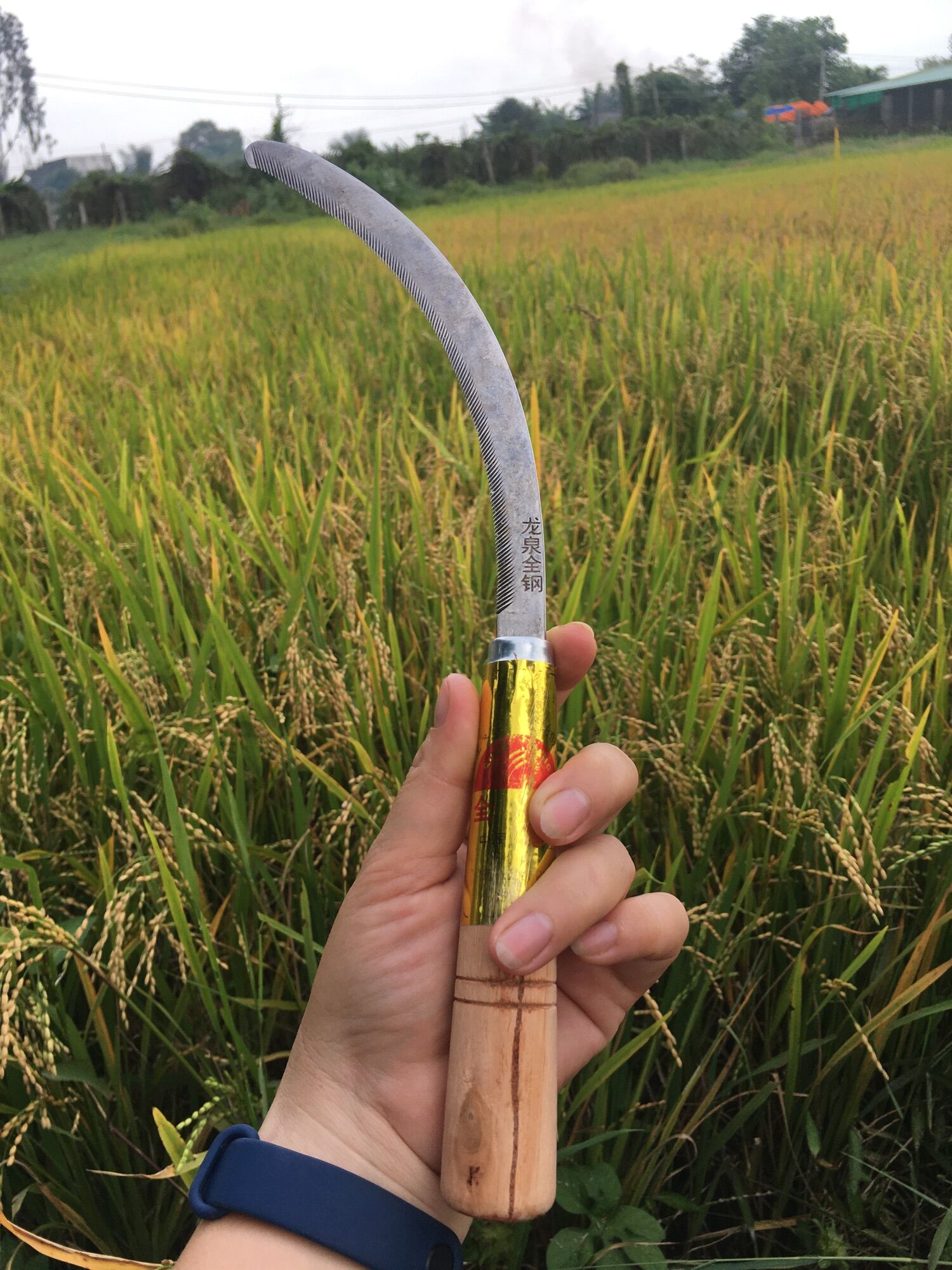 SET 3 CÂY LIỀM CÁN GỖ CẮT DỪA,CỎ VOI