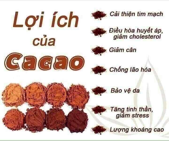 🌰  BỘT CA CAO NGUYÊN CHẤT DAK LAK 🌰