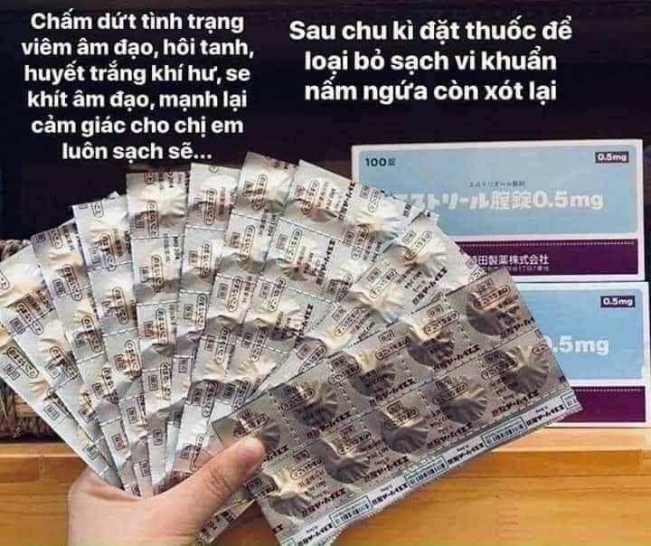 Viên đặt Phụ Khoa ESTORIL Nhật Bản