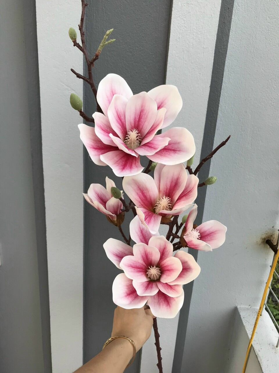 Hoa ngọc lan loại cao cấp sang trọng