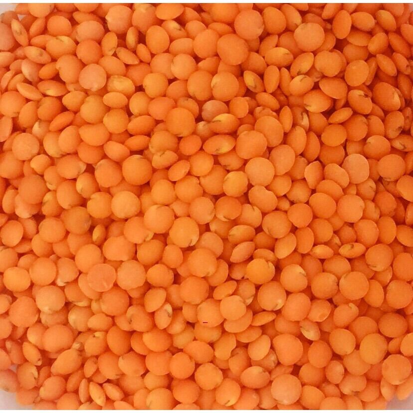 Đậu Lăng đỏ Hữu cơ 250gr