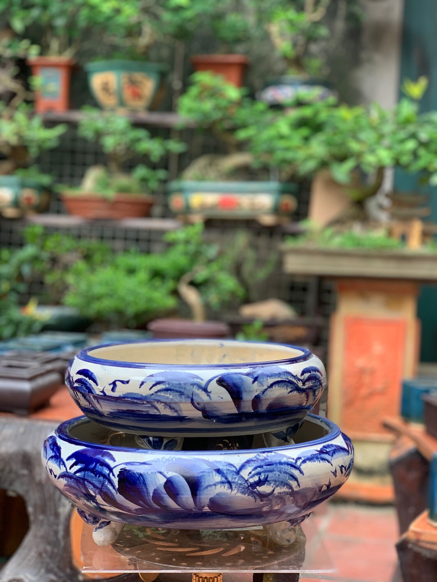 Chậu cảnh trồng cây bonsai
