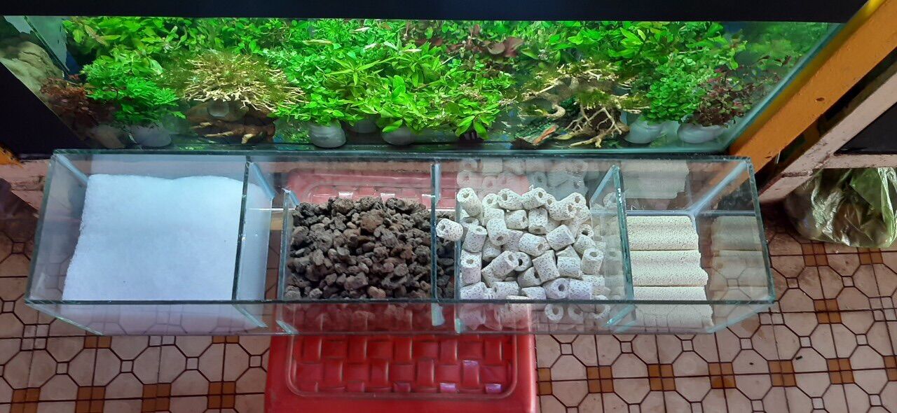 Hộp lọc tràn combo vật liệu lọc dành cho hồ cá, bể cá siêu rẻ