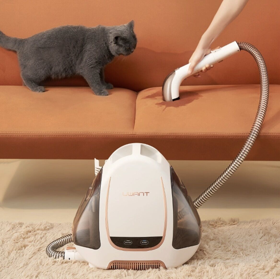 Máy hút giặt sấy cầm tay spot cleaner uwant b100 - dùng cho sofa giường nệm thảm
