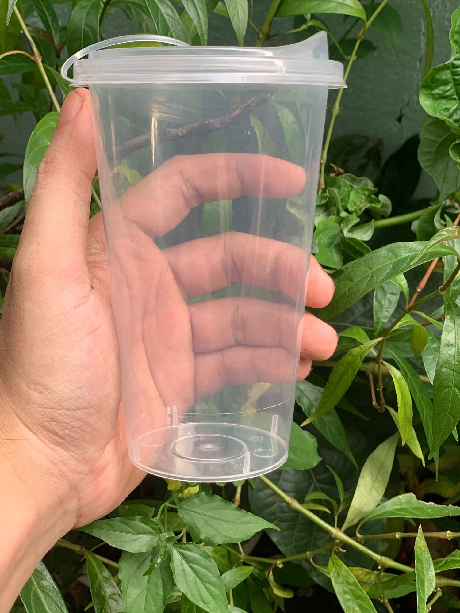 Ly nhựa PP cứng 500ml ( 25 ly / dây ) - PP Hard Cup 500ml