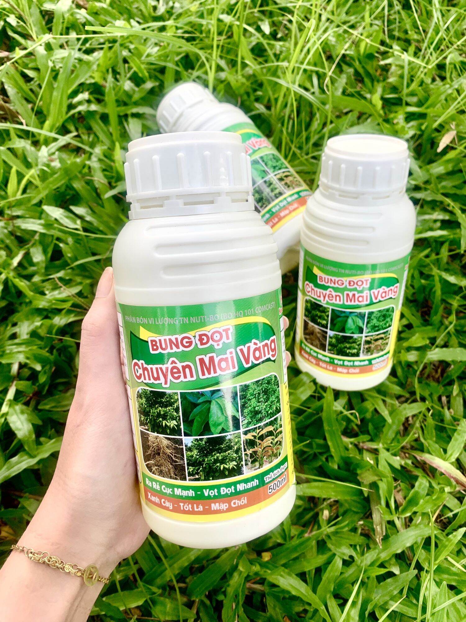 Hai chai bung đọt ra rễ mai vàng 500ml pha được 160 lít nước. sử dụng 7 ngày một lần.