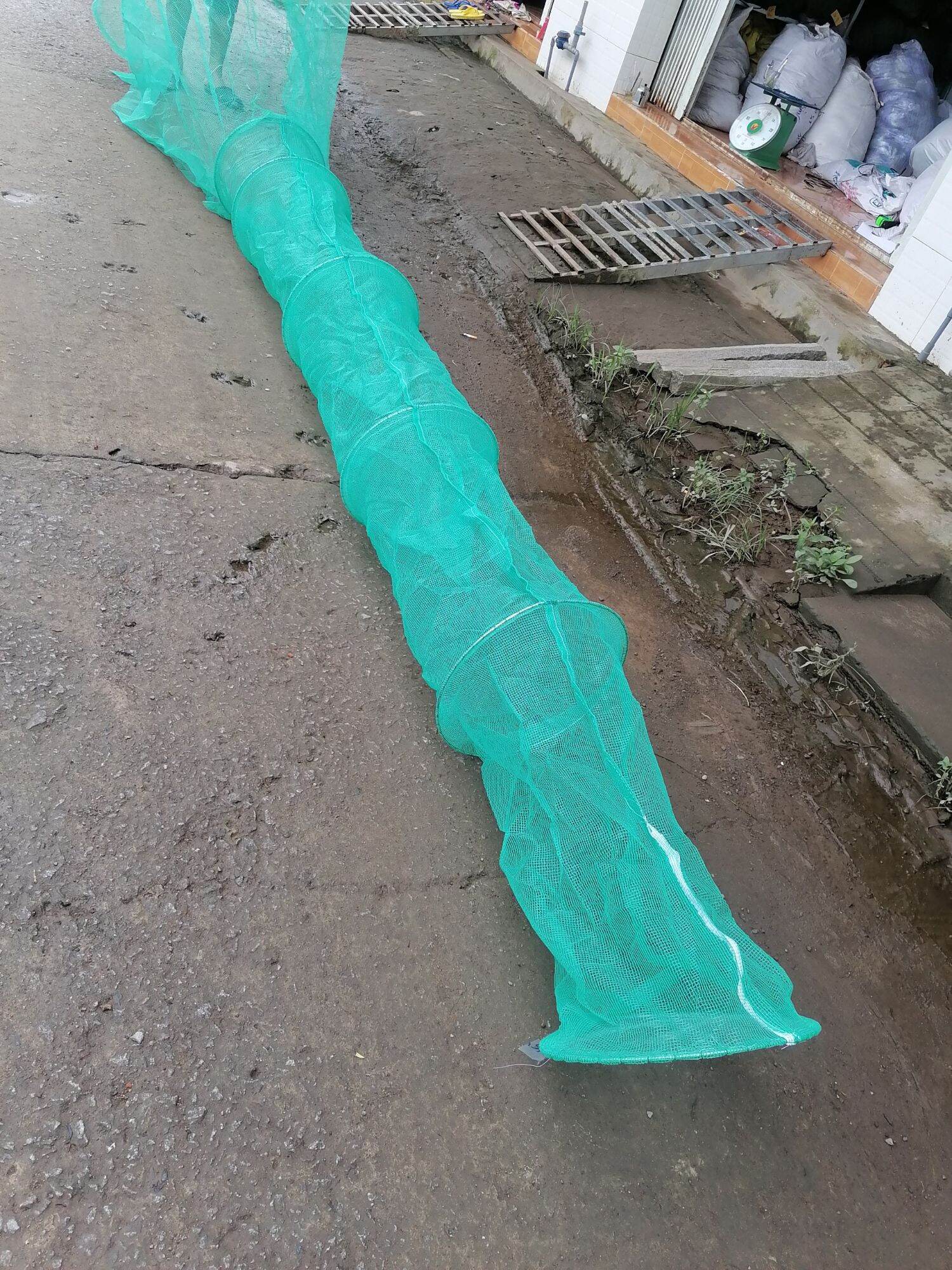 Dớn bắt cá miền tây ,hàng đặt ( ĐK 40CM , đuôi dớn 6 vành , 3hôm )