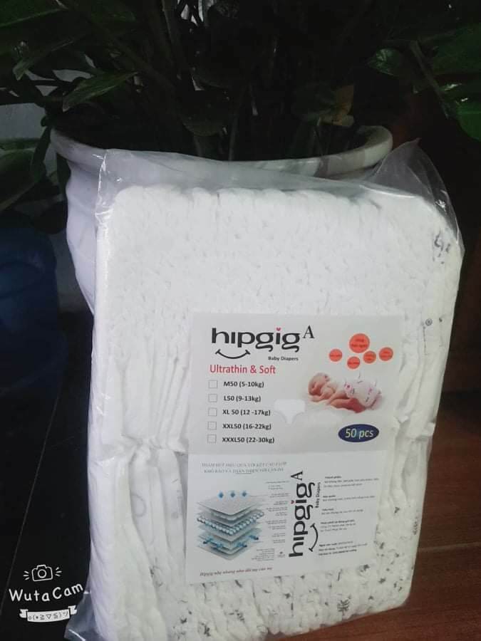 100 bỉm dán hipgig trần đẹp