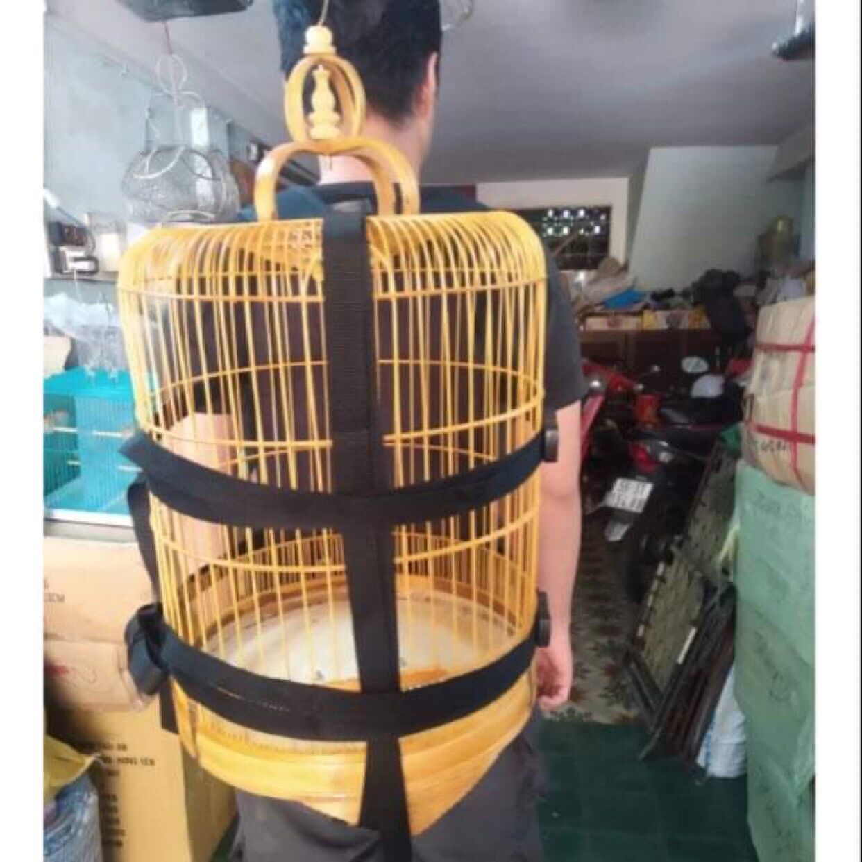 Balo Đeo Lồng Chim - Phụ Kiện Cho Chim Cao Cấp