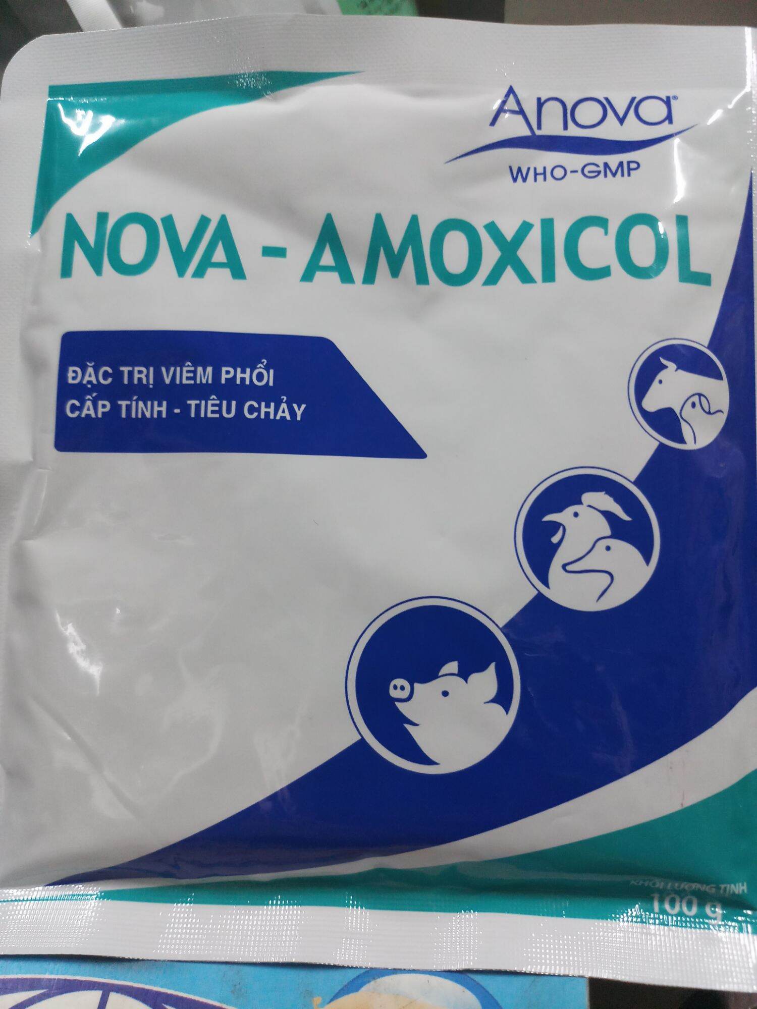 Nova Amoxicol 100 gram viêm phổi cấp tịn, tiêu chảy