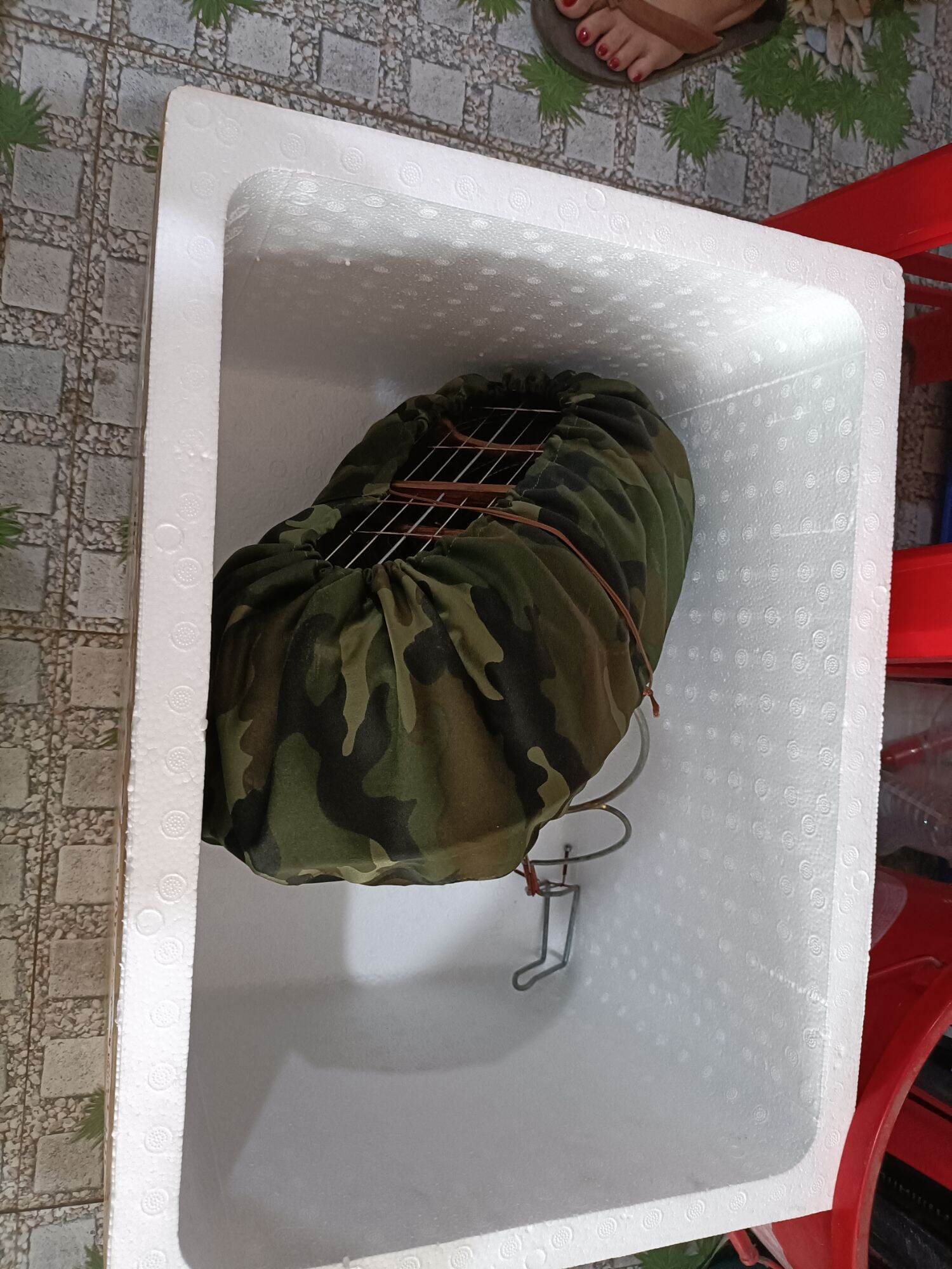 Áo Lụp Chim sâu đầu đỏ (7+)