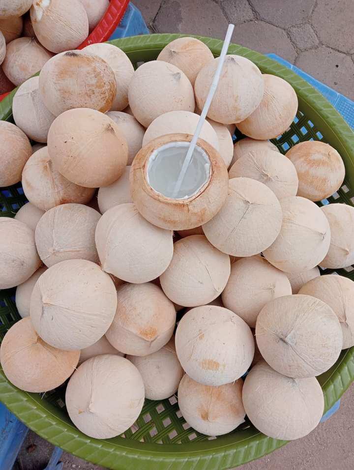 Dừa tươi