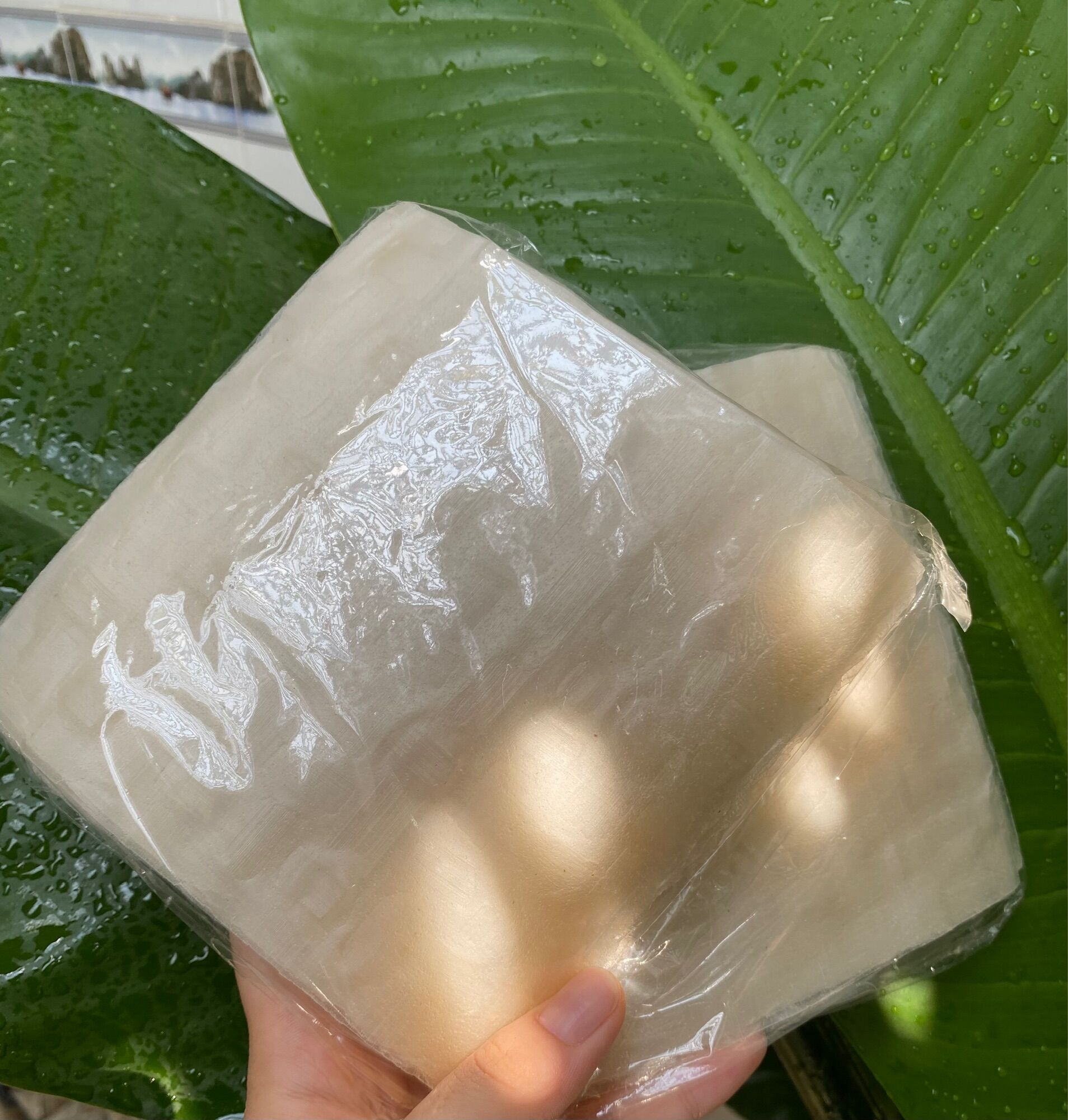 5 Bịch Bánh Tráng Bình Định Cuốn Chả Ram [5 bịch = 100 cái] (40k/ 5 bịch)