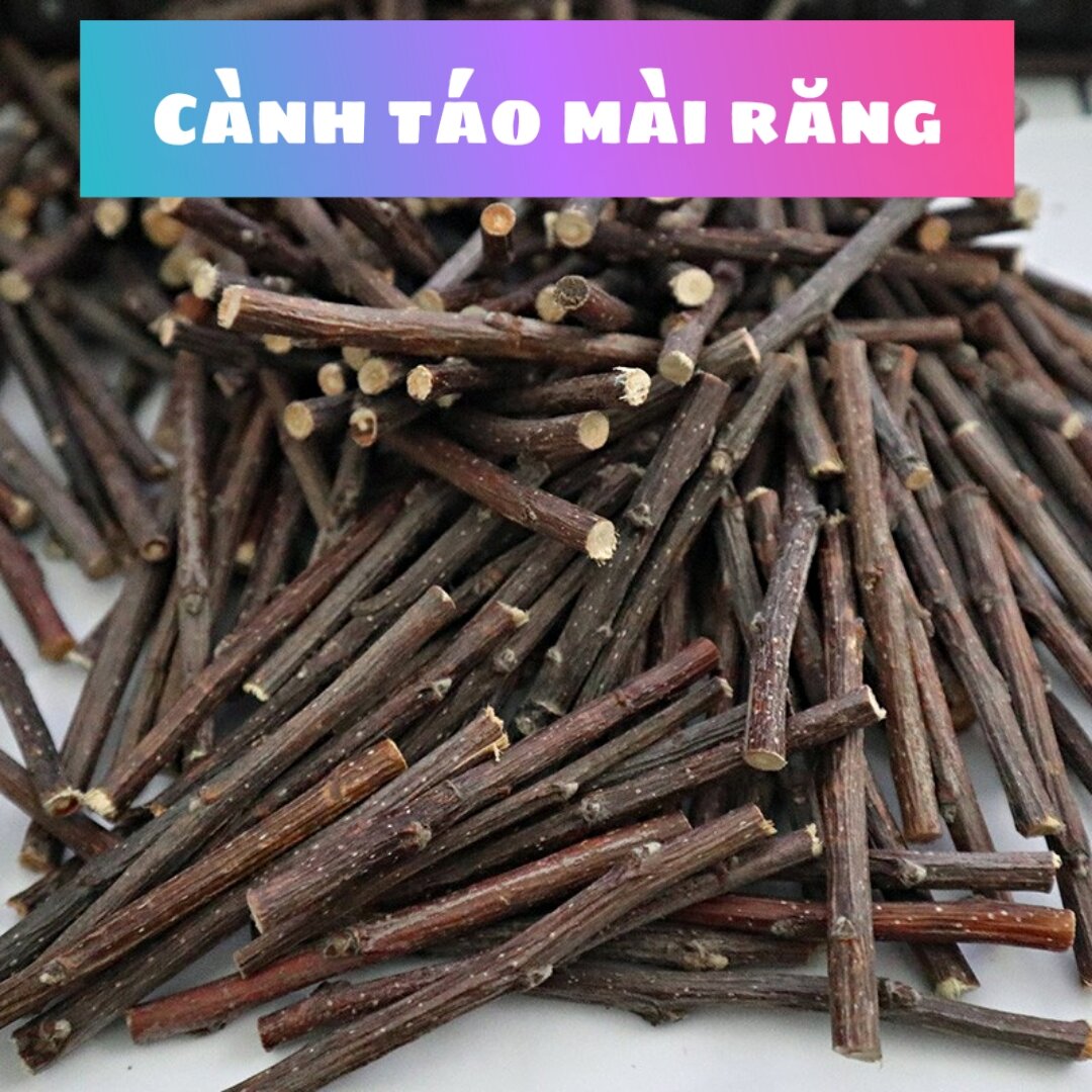 Cành táo mài răng cho hamster, thú cưng nhỏ